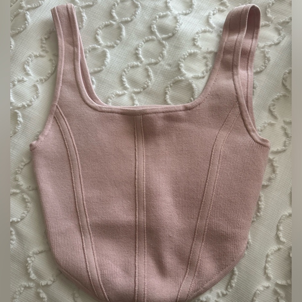 Aritzia Babaton Corset top